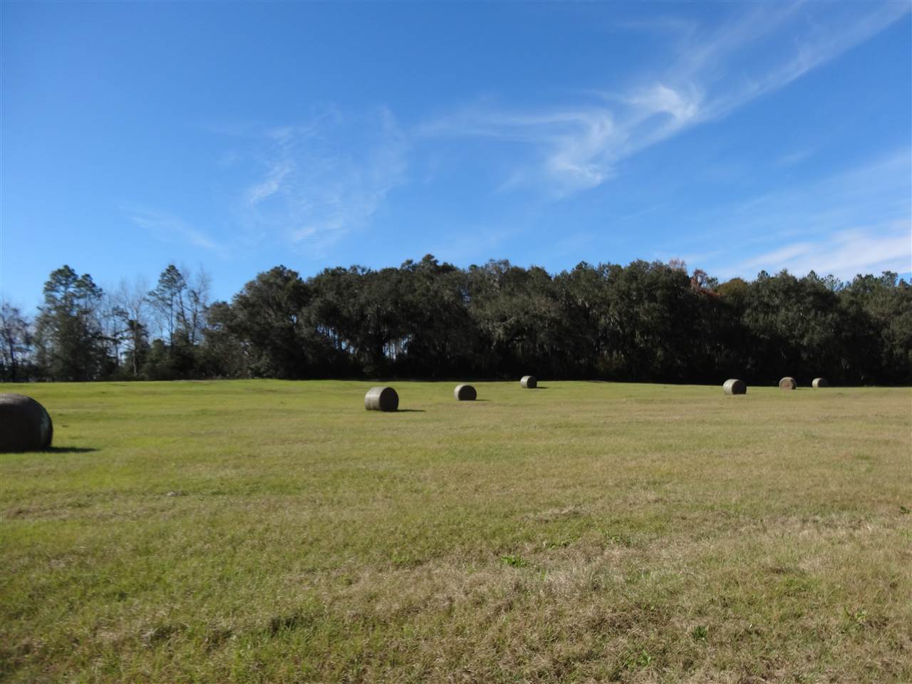 Tbd Bellamy Road, Unit 1 Monticello, FL 32344 - Photo 7 of 12 Gallery Image 7