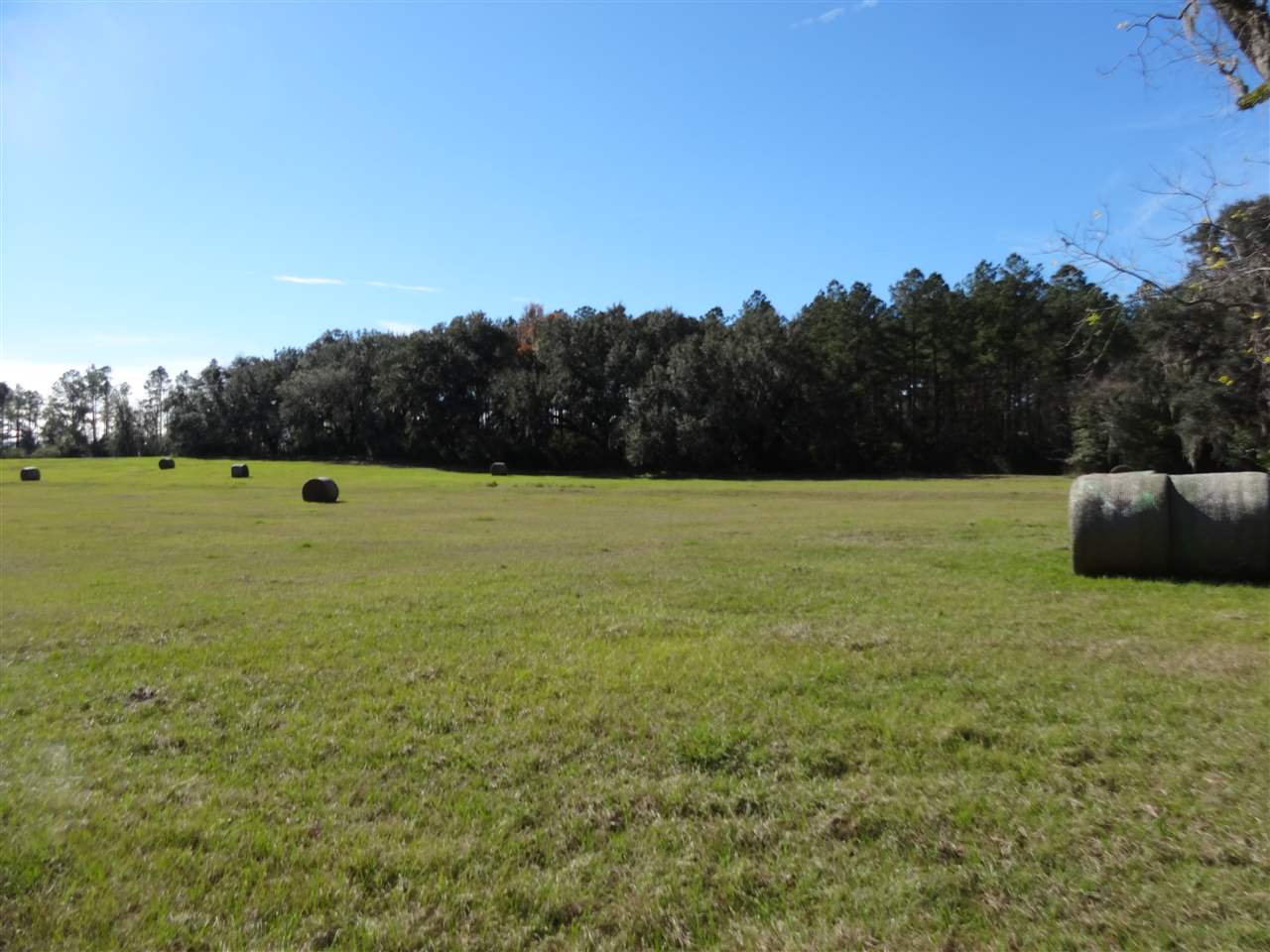 Tbd Bellamy Road, Unit 1 Monticello, FL 32344 - Photo 8 of 12 Gallery Image 8