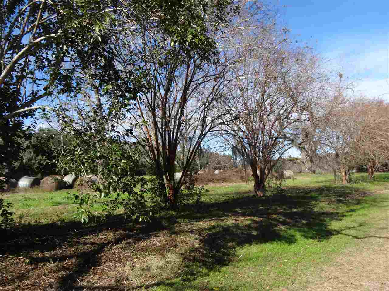 Tbd Bellamy Road, Unit 1 Monticello, FL 32344 - Photo 9 of 12 Gallery Image 9