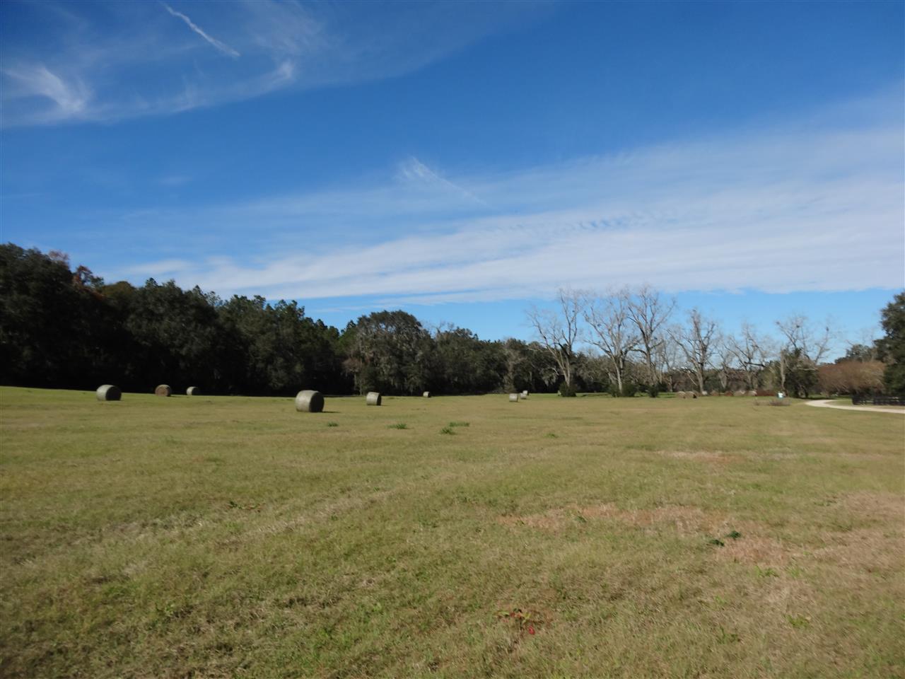 Tbd Bellamy Road, Unit 1 Monticello, FL 32344 - Photo 10 of 12 Gallery Image 10