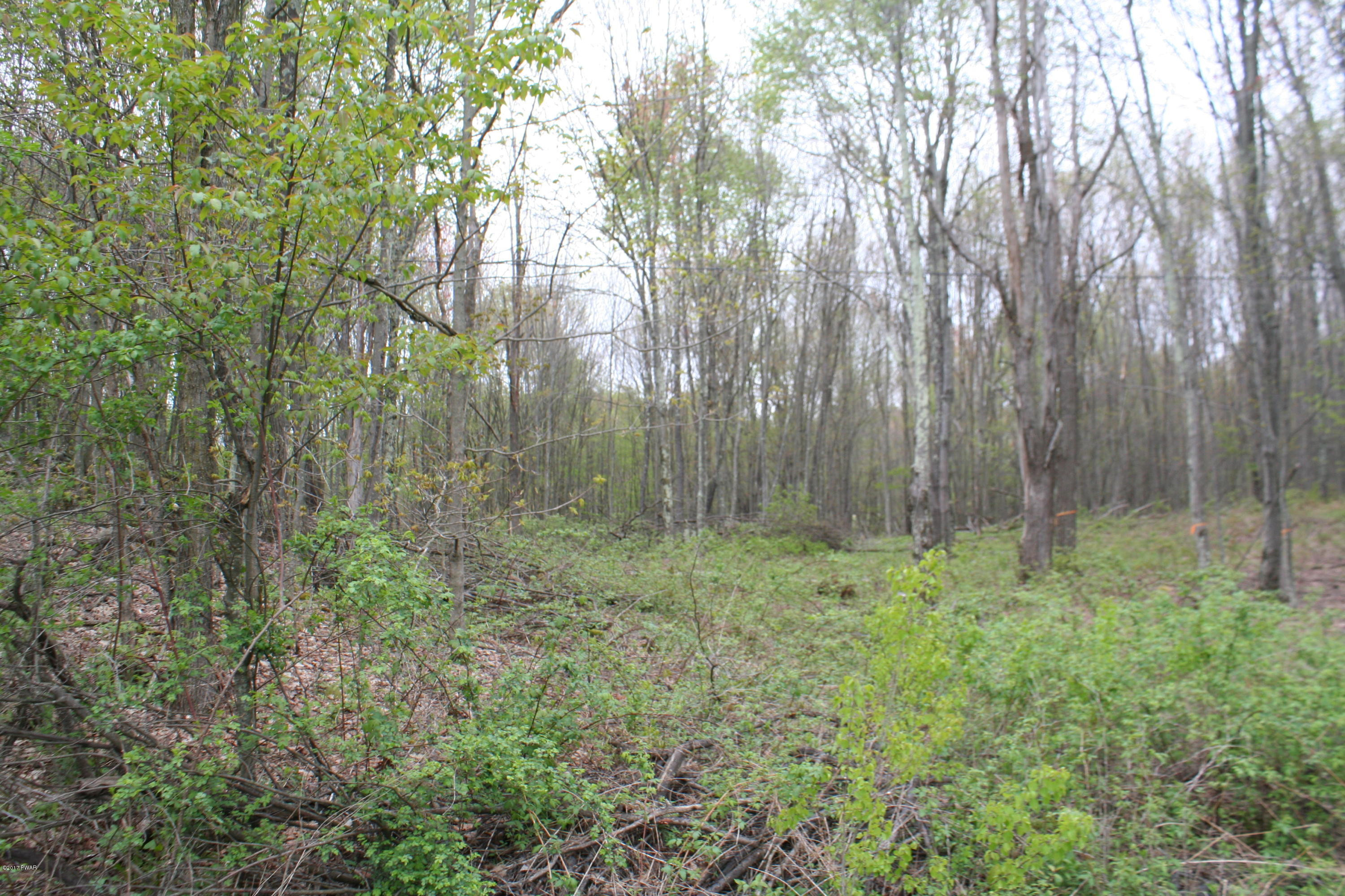255 North Smith Road Waymart, PA 18472 - Photo 7 of 8