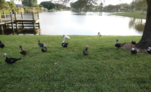 $3,300 | 107 Gibraltar Street, Royal Palm Beach, FL 33411