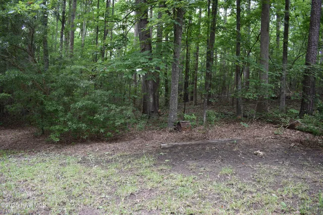 $45,000 | Lot 6 River Road, Blounts Creek, NC 27814