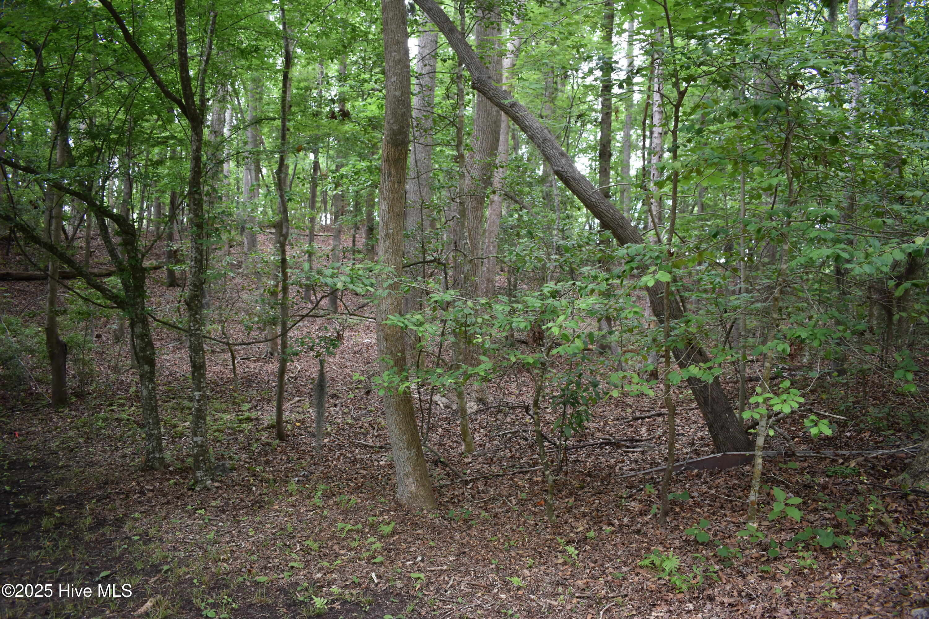 Lot 6 River Road Blounts Creek, NC 27814 - Photo 3 of 8 2 Lot Photo