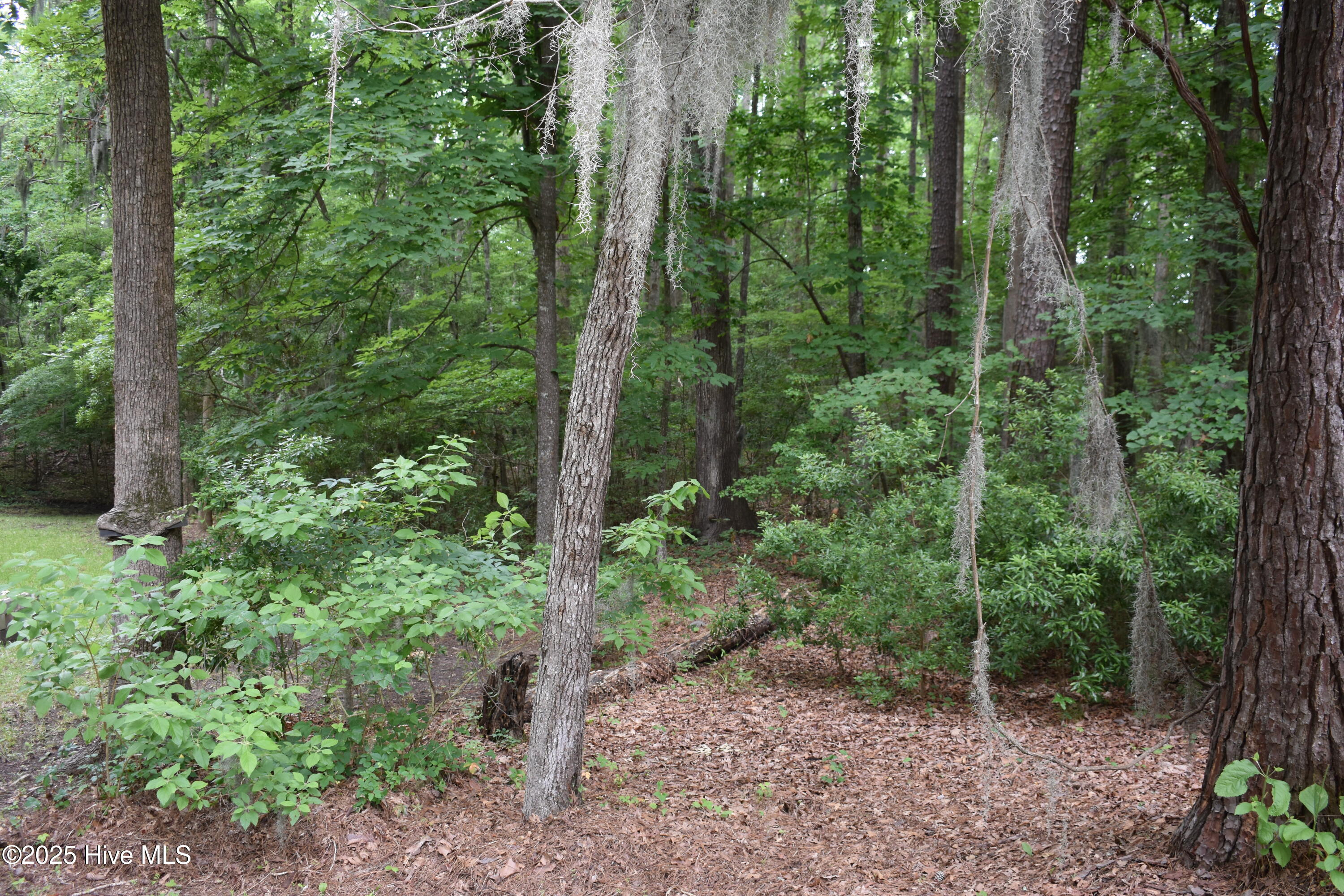 Lot 6 River Road Blounts Creek, NC 27814 - Photo 4 of 8 4 Lot Photo