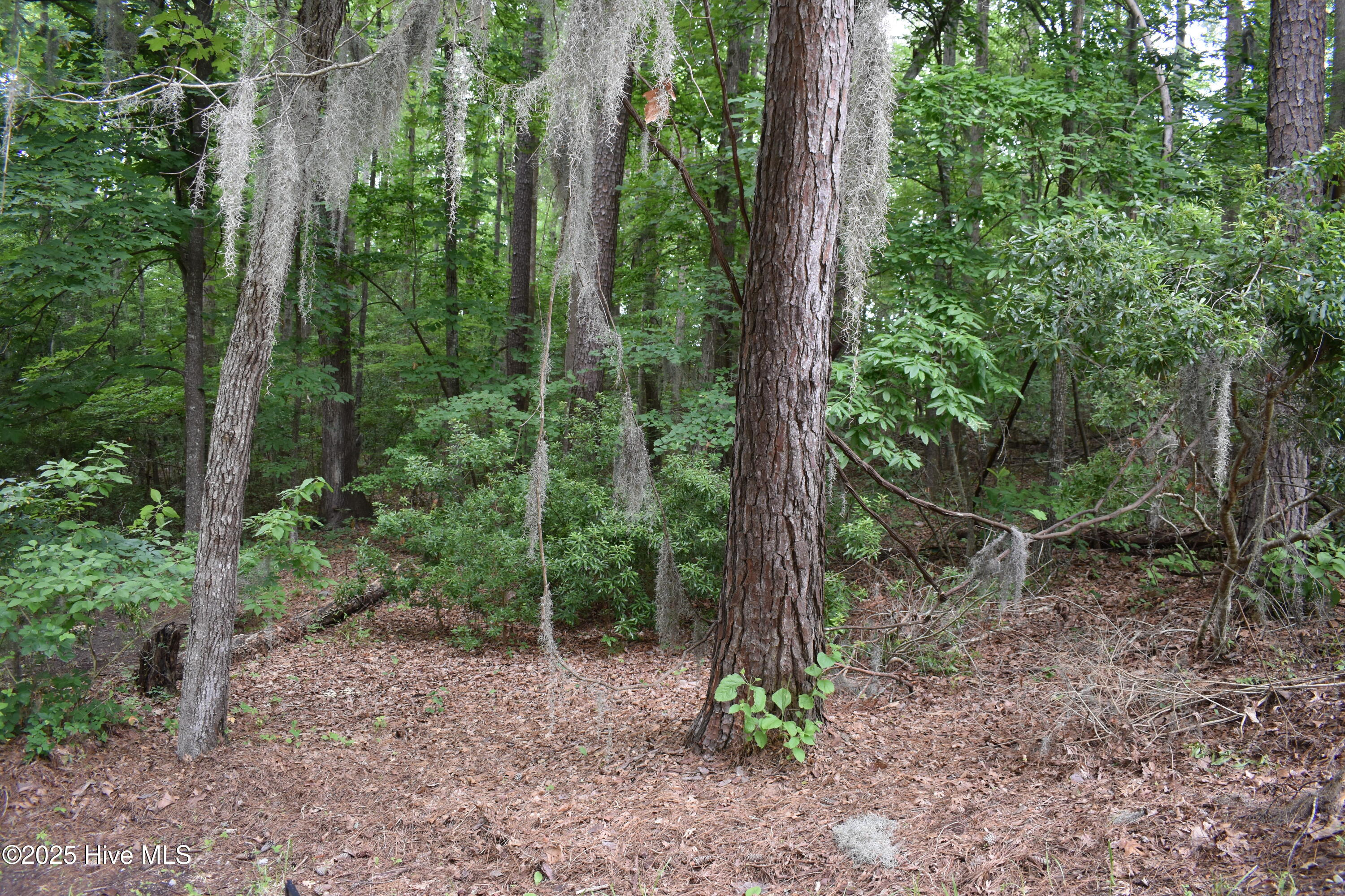 Lot 6 River Road Blounts Creek, NC 27814 - Photo 5 of 8 5 Lot Photo