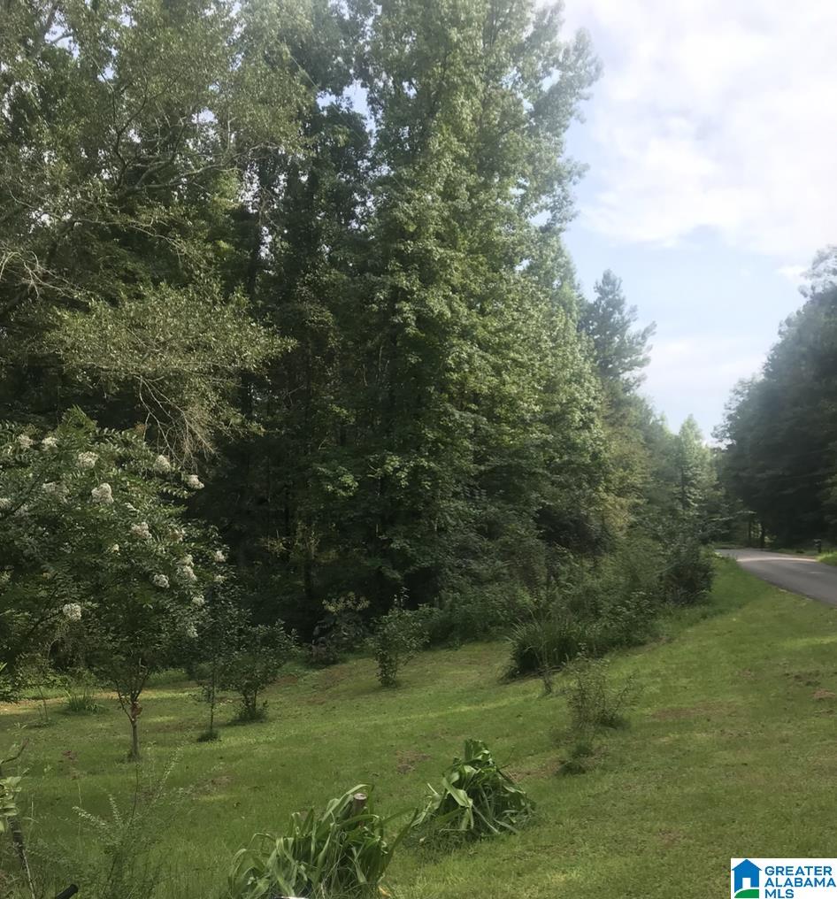 2175 Gaines Road, Unit 1 Altoona, AL 35952 - Photo 2 of 5