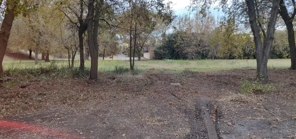 a view of a house with large trees