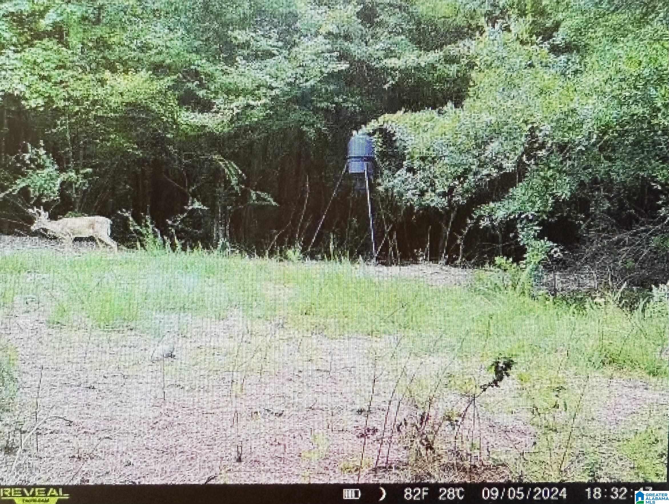 0 Hidden Holw Road Quinton, AL 35130 - Photo 7 of 7