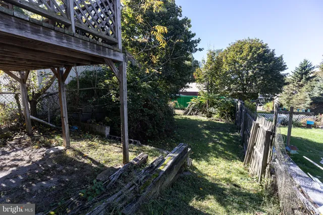 a view of a yard with plants and large trees