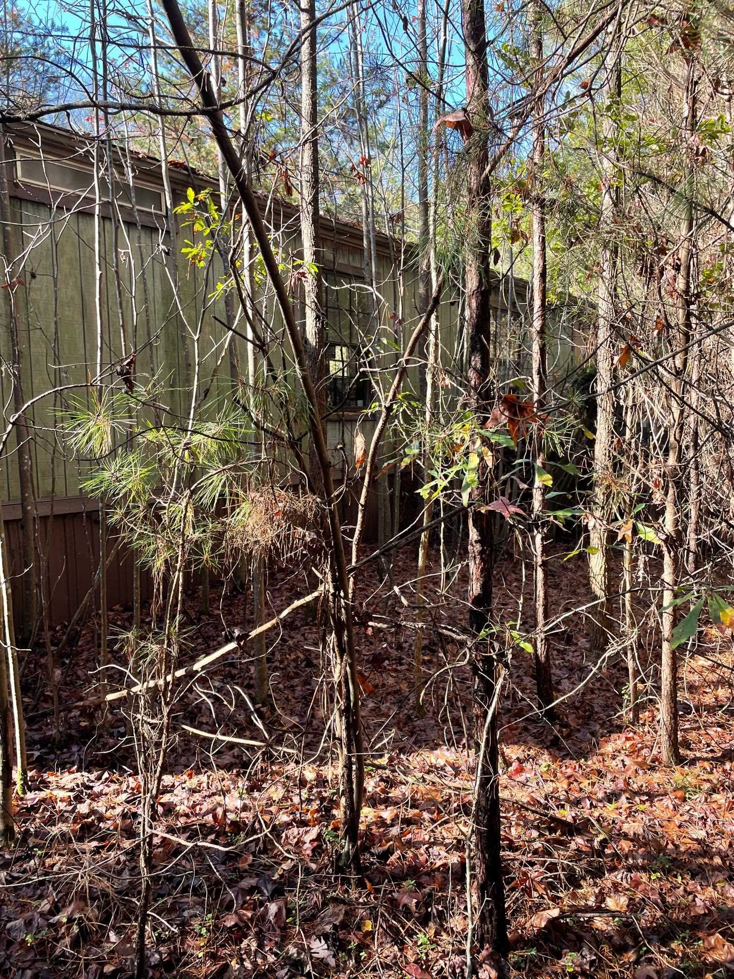 481 East Murph Road Spartanburg, SC 29302 - Photo 3 of 4