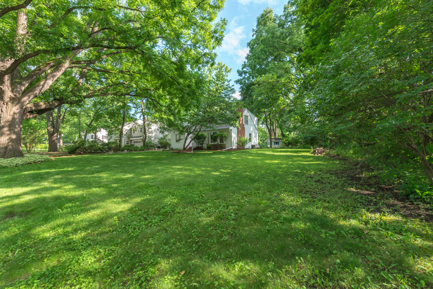 719 Sunset Road Ann Arbor, MI 48103 - Photo 2 of 65 Big yard