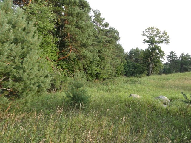 8617 Ruttan Road Northwest Alden, MI 49612 - Photo 18 of 28 1848940-17.JPG