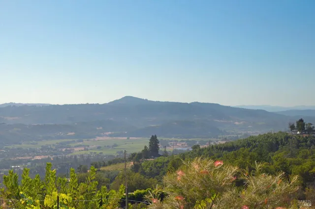 a view of a lush green field with mountains in the background