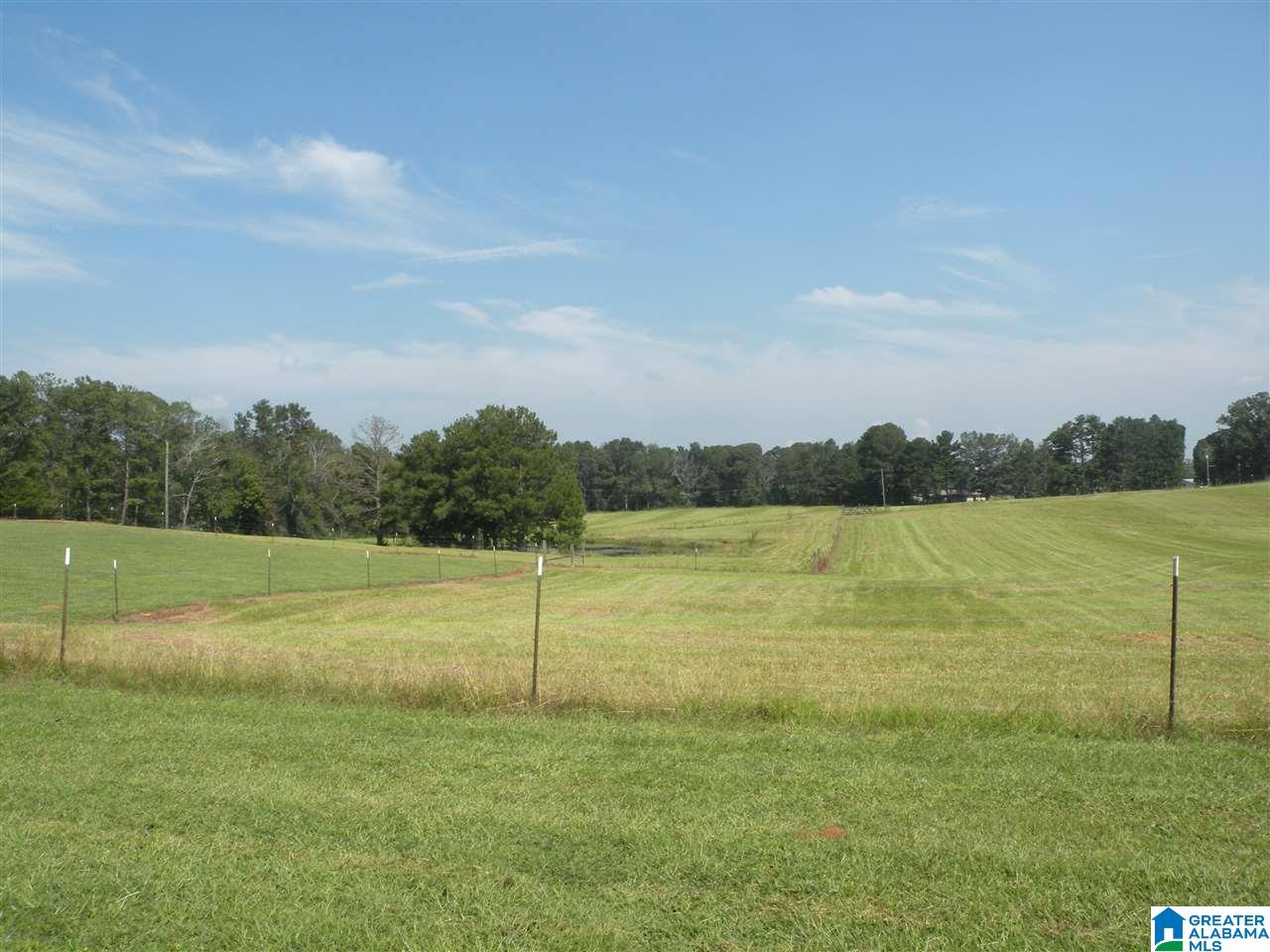 413 Truss Ferry Road Lincoln, AL 35096 - Photo 32 of 36