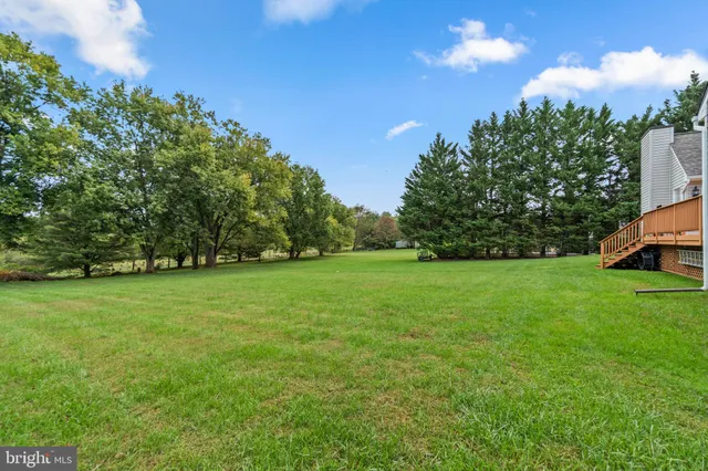 a view of a lush green forest with lots of trees