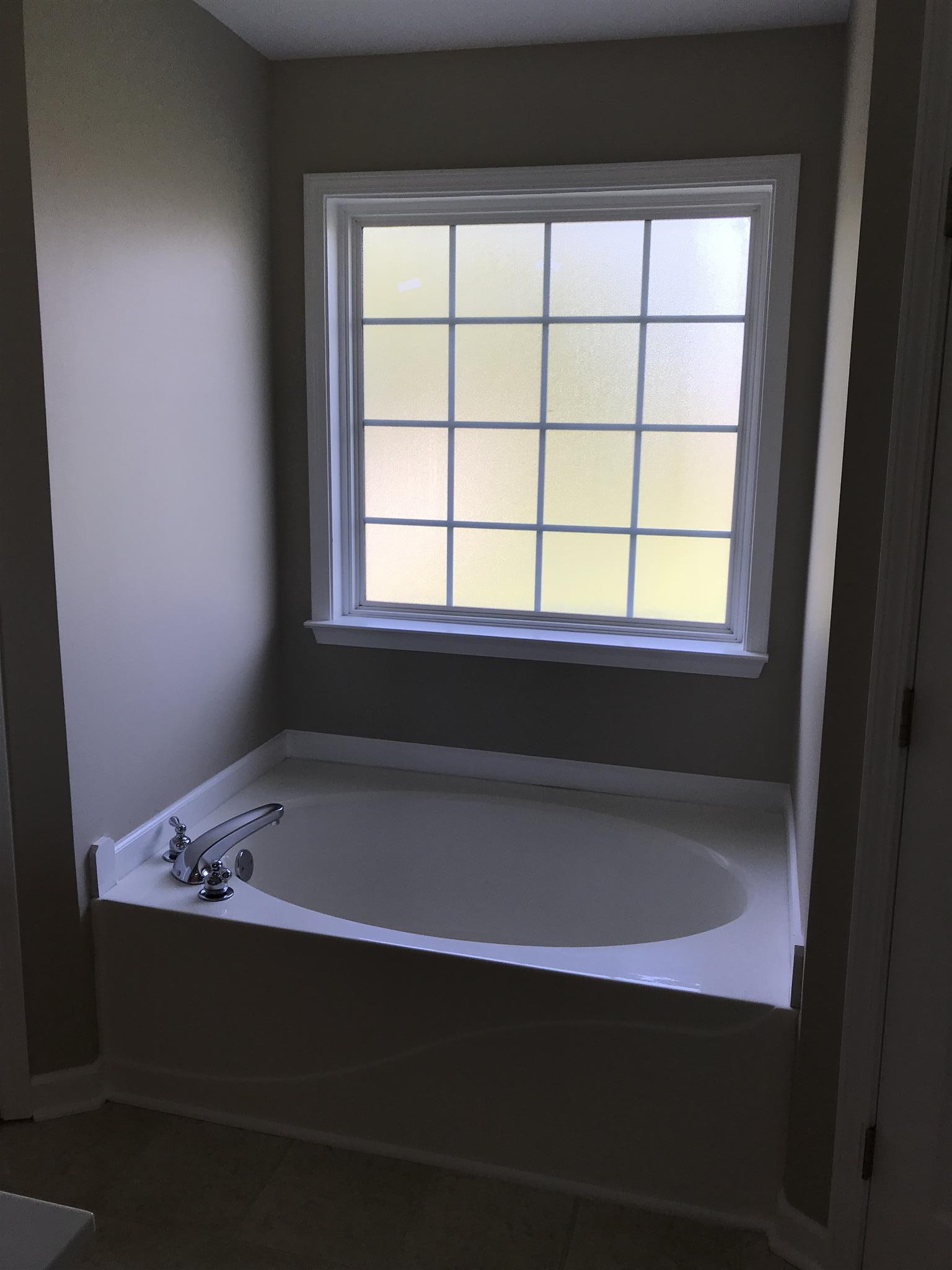 3009 Baker Way Spring Hill, TN 37174 - Photo 18 of 20 Garden tub