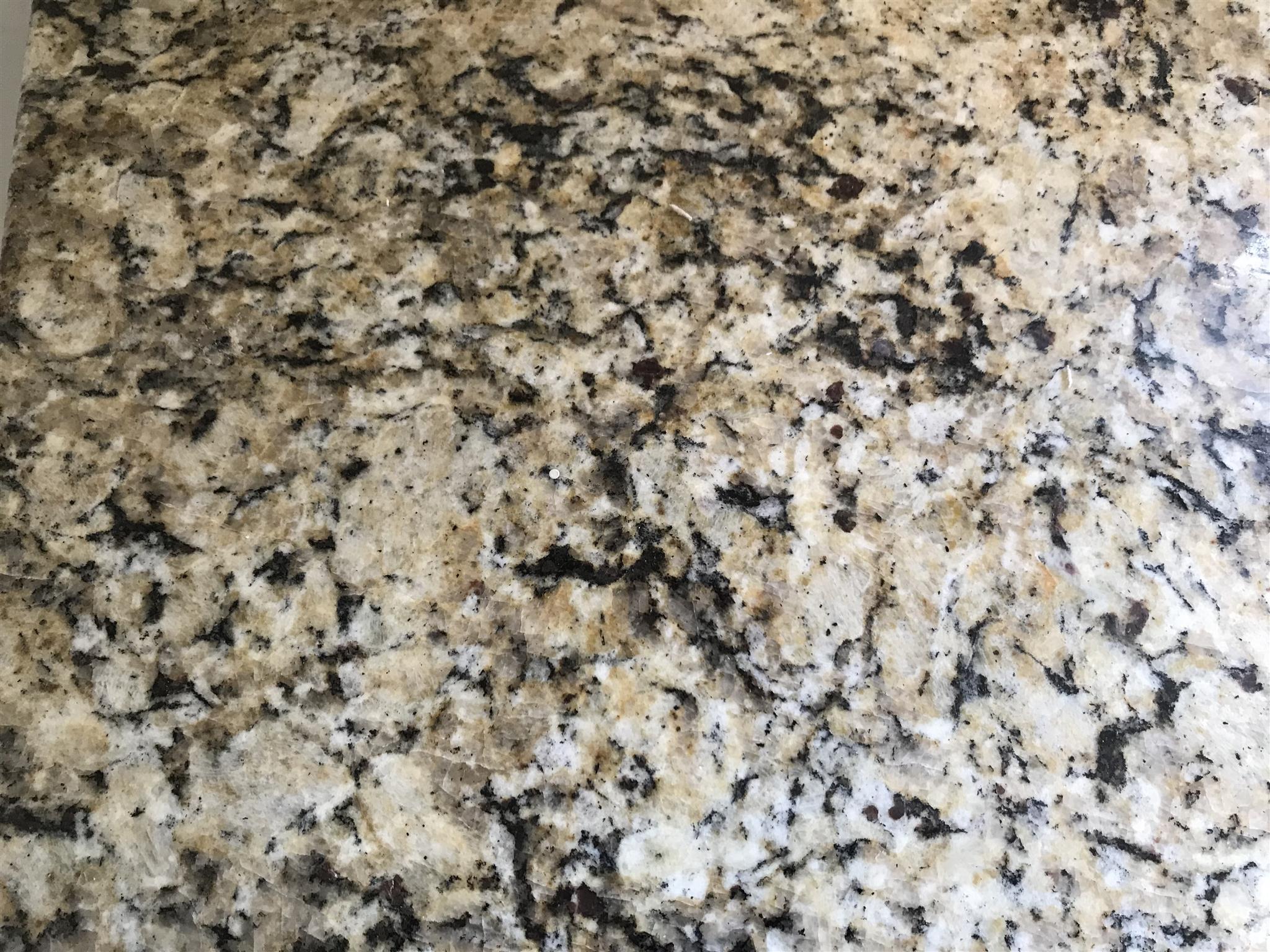 3009 Baker Way Spring Hill, TN 37174 - Photo 6 of 20 New granite color