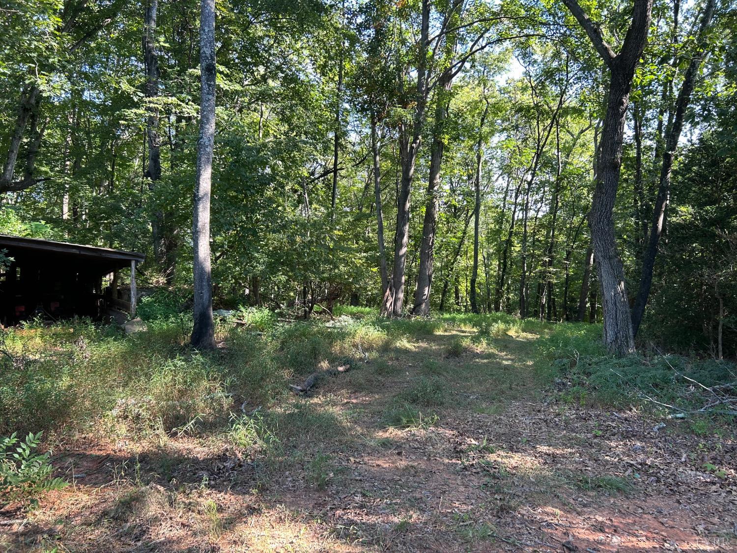 0 Crawford's Hill Place Amherst, VA 24521 - Photo 15 of 15 a view of a forest