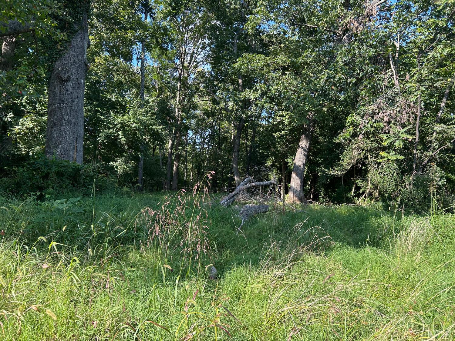 0 Crawford's Hill Place Amherst, VA 24521 - Photo 4 of 15 a view of outdoor space and yard