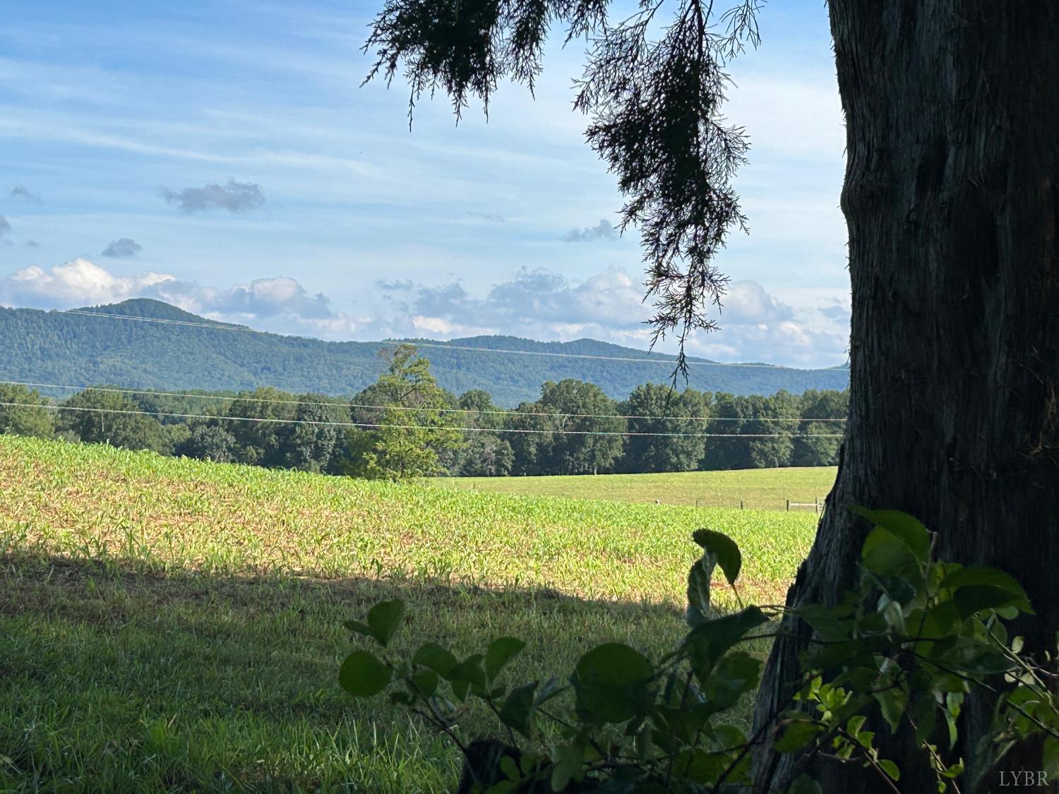 0 Crawford's Hill Place Amherst, VA 24521 - Photo 5 of 15 a view of outdoor space and yard