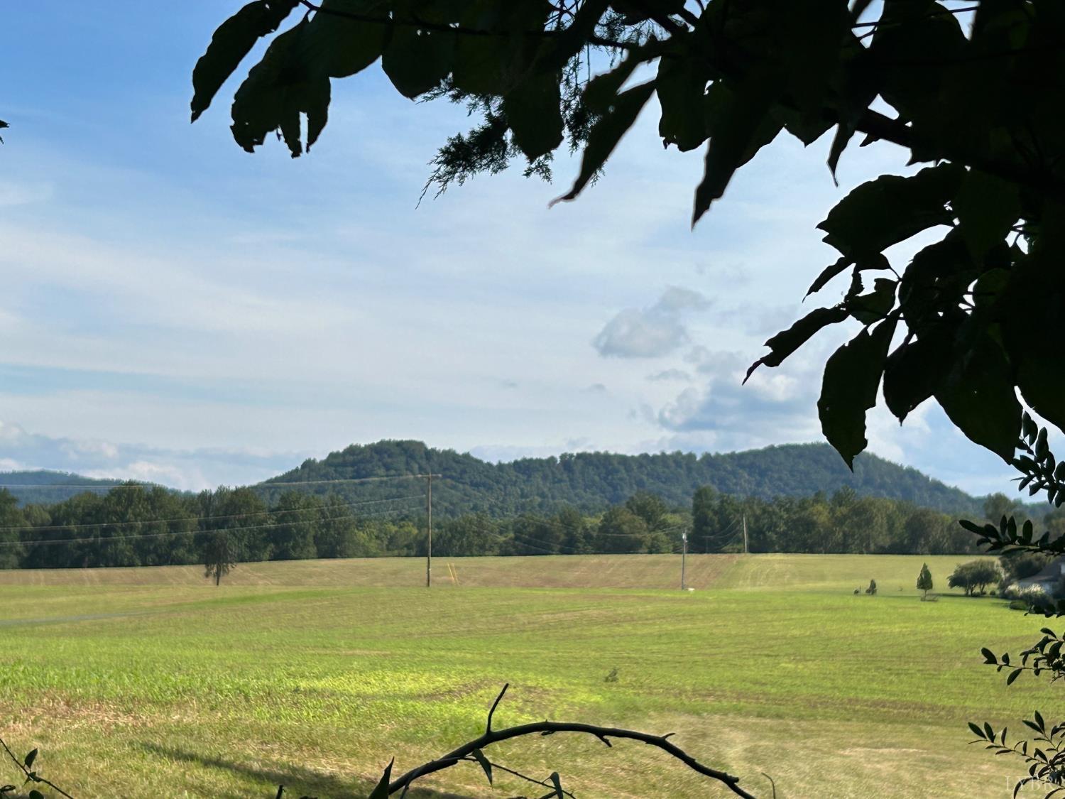 0 Crawford's Hill Place Amherst, VA 24521 - Photo 7 of 15