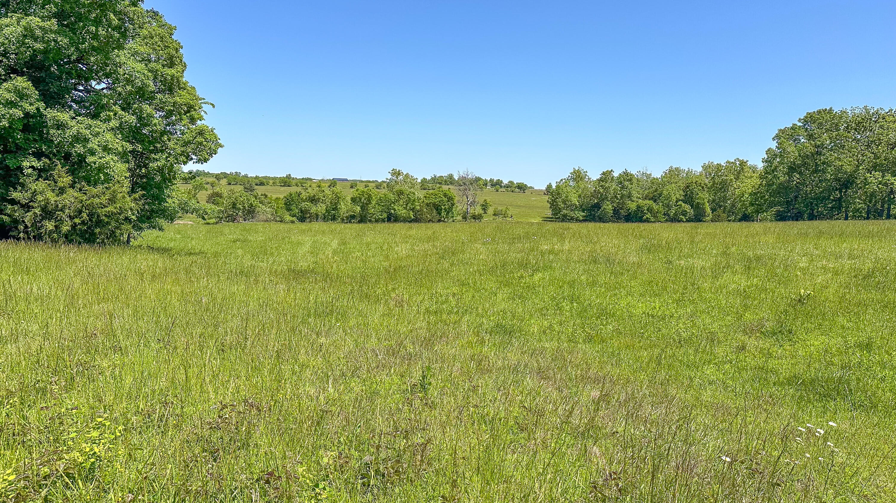 0 Logan Road Hartville, MO 65667 - Photo 28 of 32 000Logan Rd-31