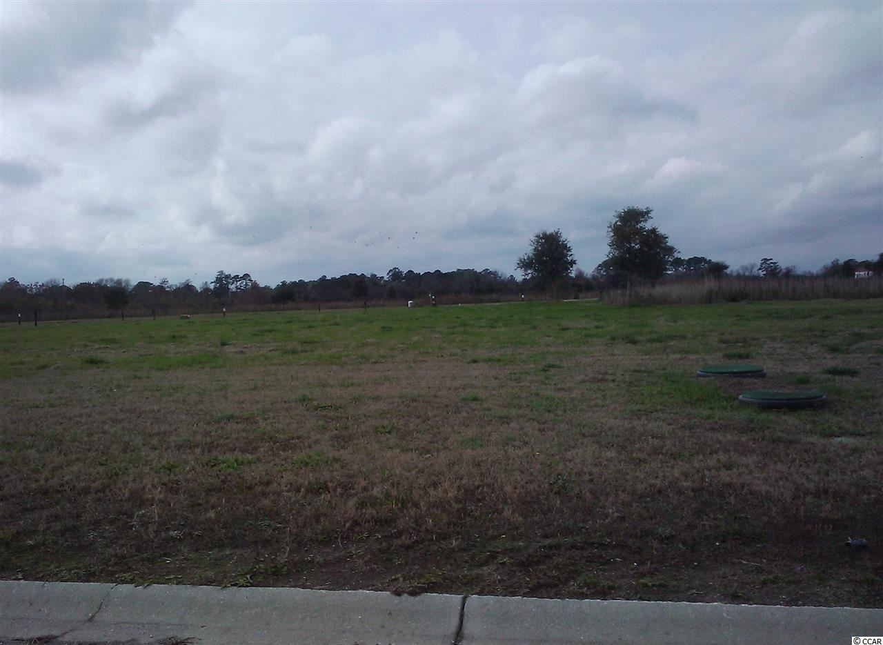 Lot 149 Cravens Street Georgetown, SC 29440 - Photo 1 of 10 Gallery Image 1