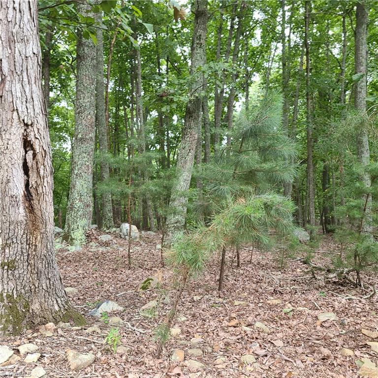 118 Sierra Trace Road Denton, NC 27239 - Photo 1 of 4