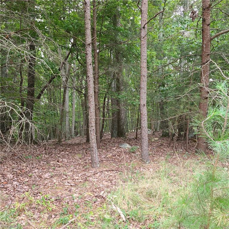 118 Sierra Trace Road Denton, NC 27239 - Photo 2 of 4