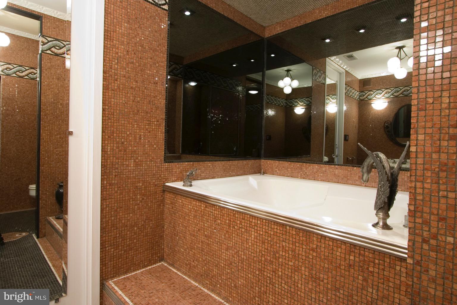 5225 Pooks Hill Road, Unit 1828S Bethesda, MD 20814 - Photo 20 of 28 Master Bath
