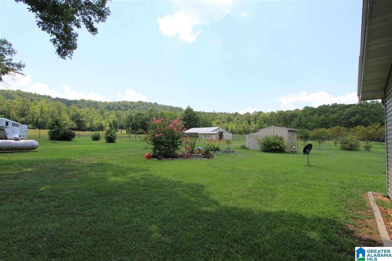 588 Seven Springs Road Wellington, AL 36279 - Photo 43 of 50