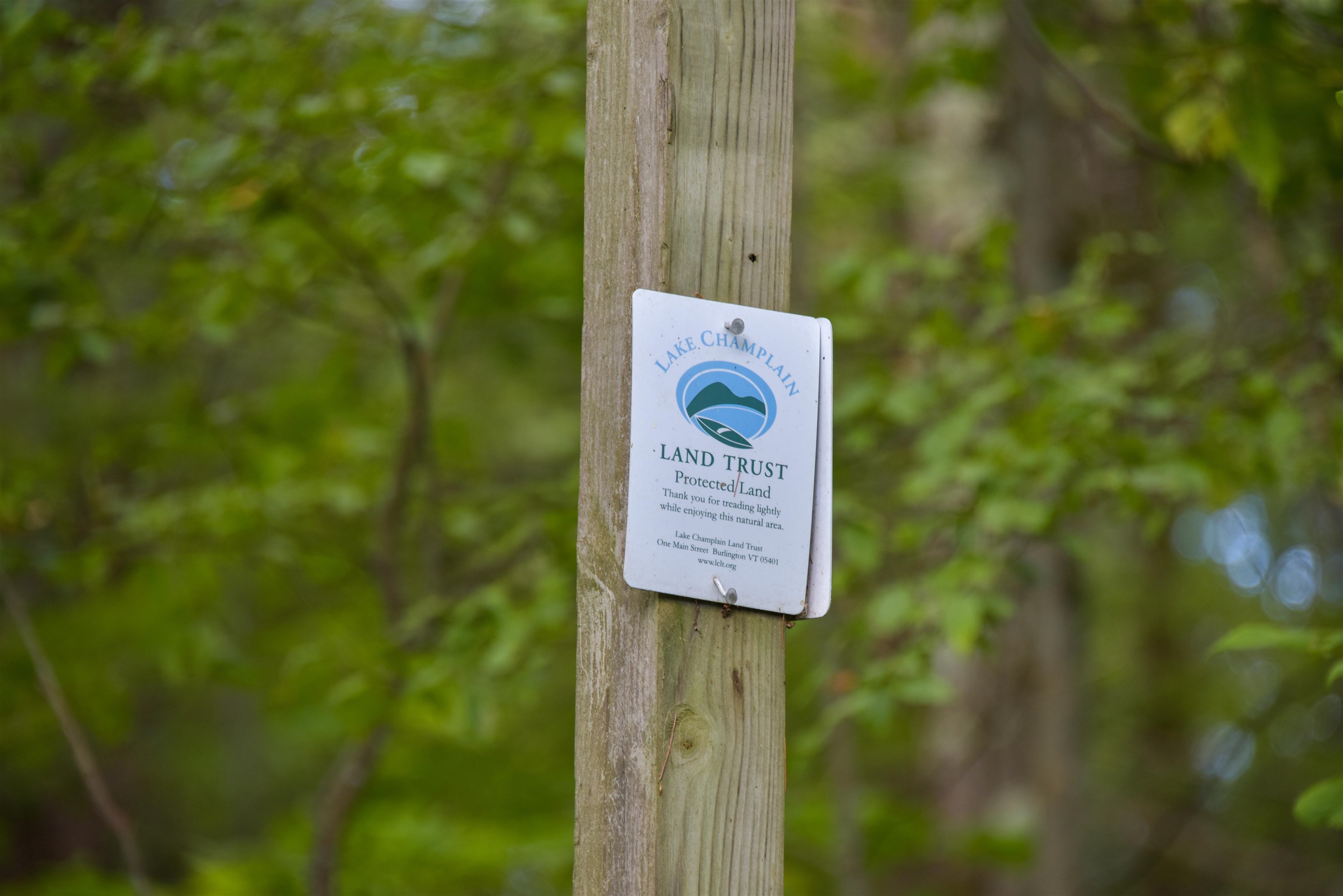 939 Camp Kiniya Road Colchester, VT 05446 - Photo 28 of 28