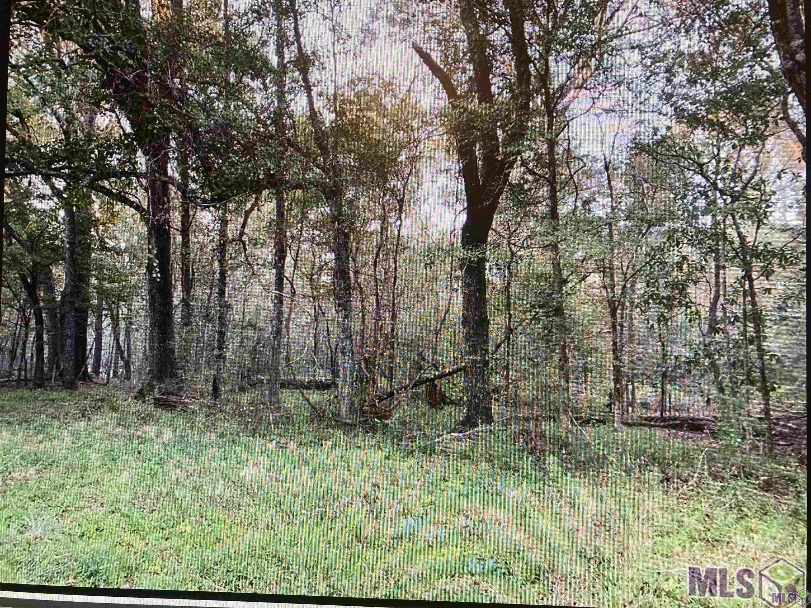 5907 Line Road Ethel, LA 70730 - Photo 1 of 4 Gallery Image 1