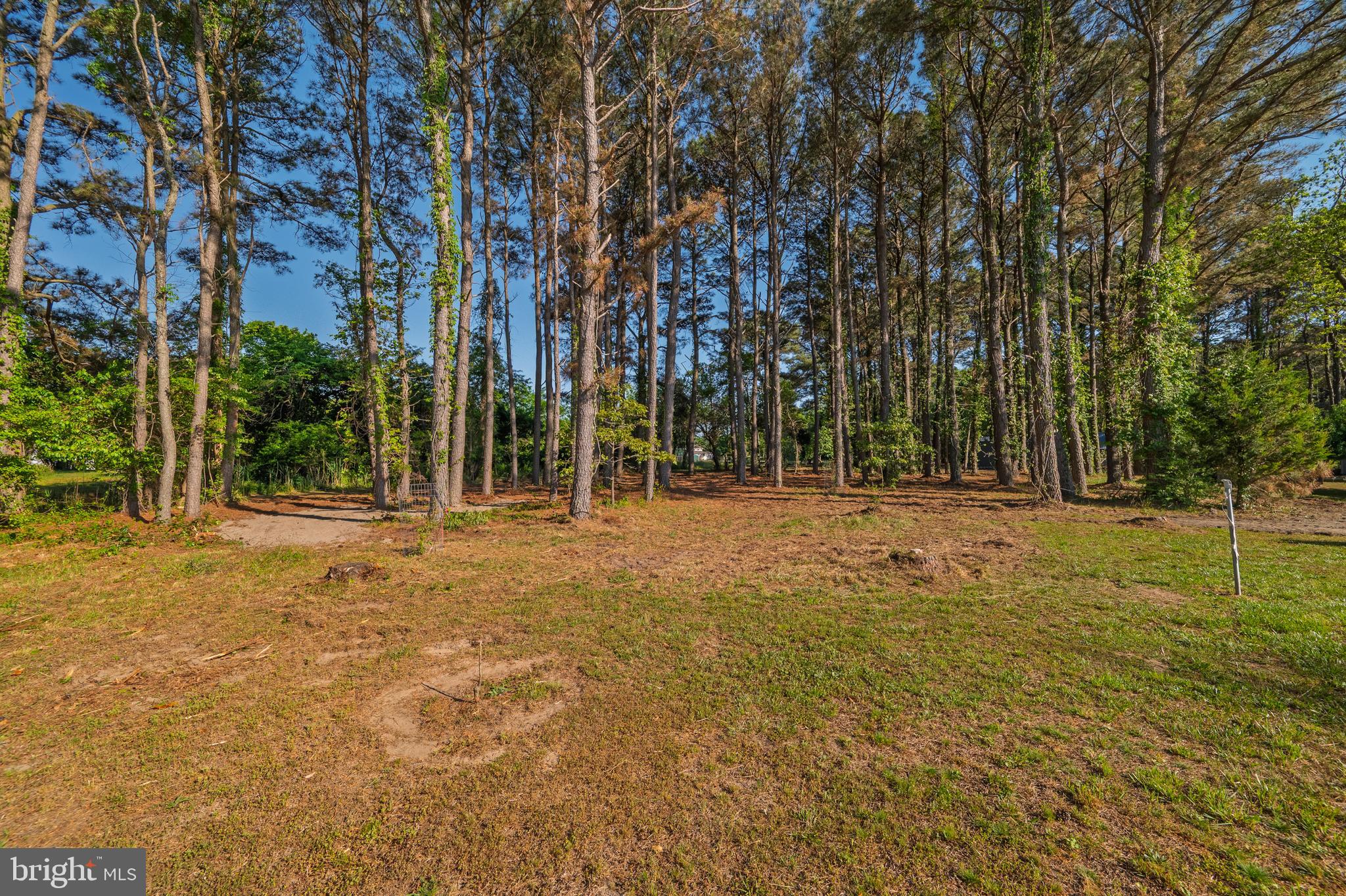 23163 Rolfe Lane Deal Island, MD 21821 - Photo 54 of 89 Gallery Image 54