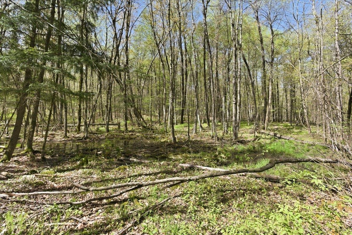 W585 Strucker Road Ogema, WI 54459 - Photo 31 of 55