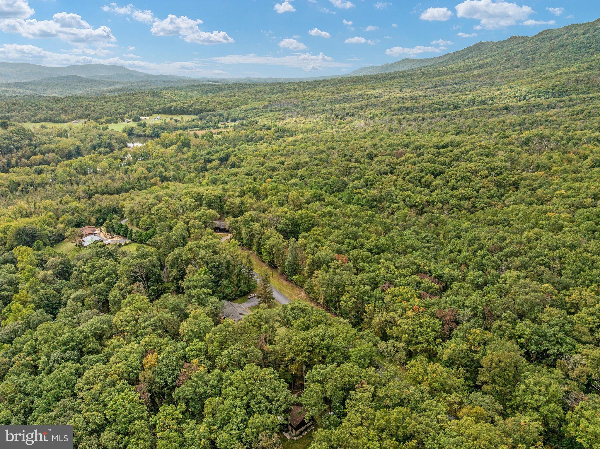 3823 Panhandle Road Front Royal, VA 22630 - Photo 62 of 78 DJI_20260929122433_0515_D-ABSALT-SEPT2026 61
