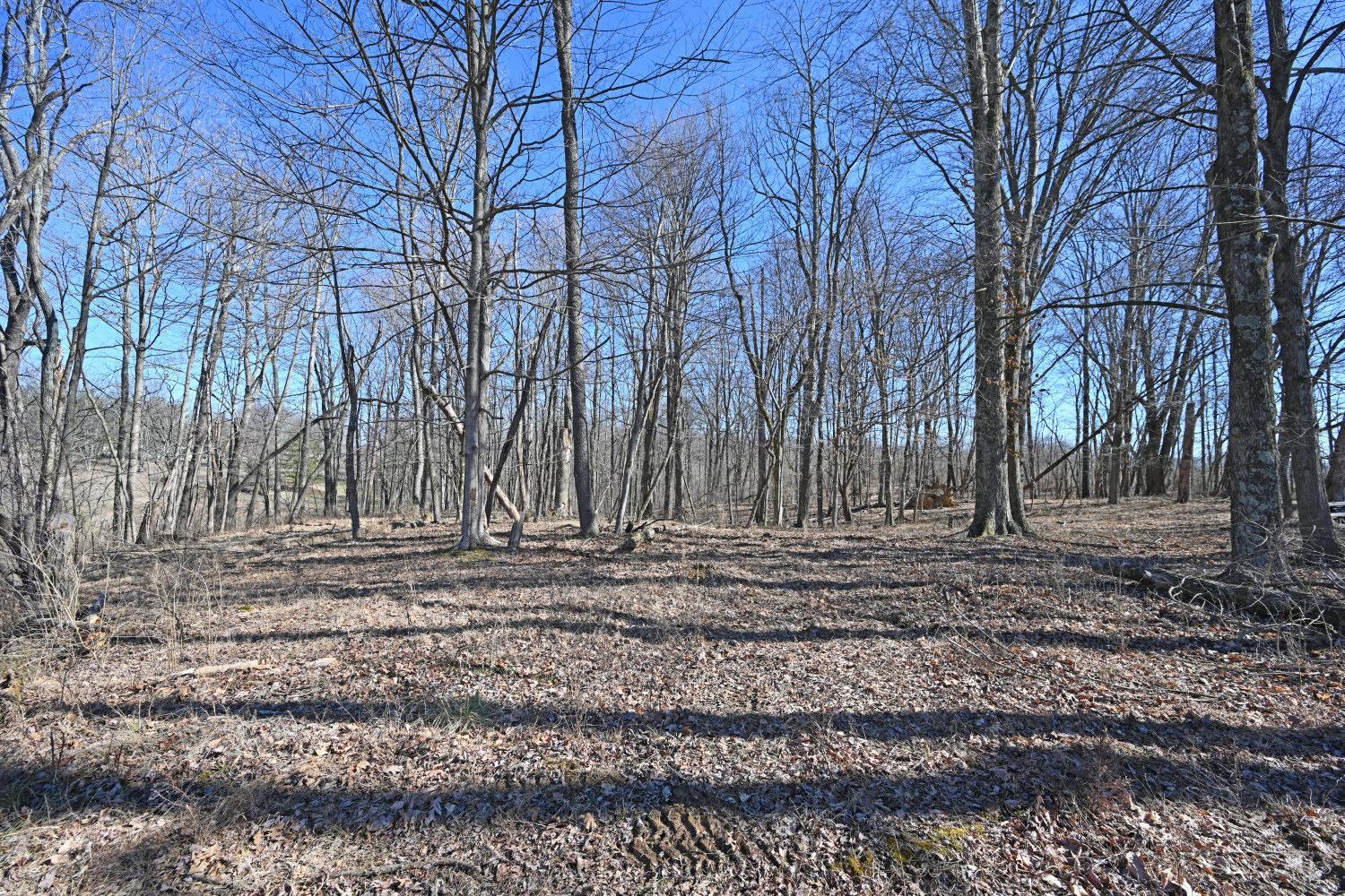 2891 Mt Olive Point Isabel Road Bethel, OH 45106 - Photo 19 of 27 Gallery Image 19