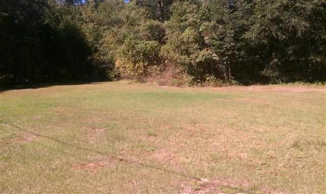 237 Ball Farm Road Quincy, FL 32352 - Photo 1 of 7 Gallery Image 1