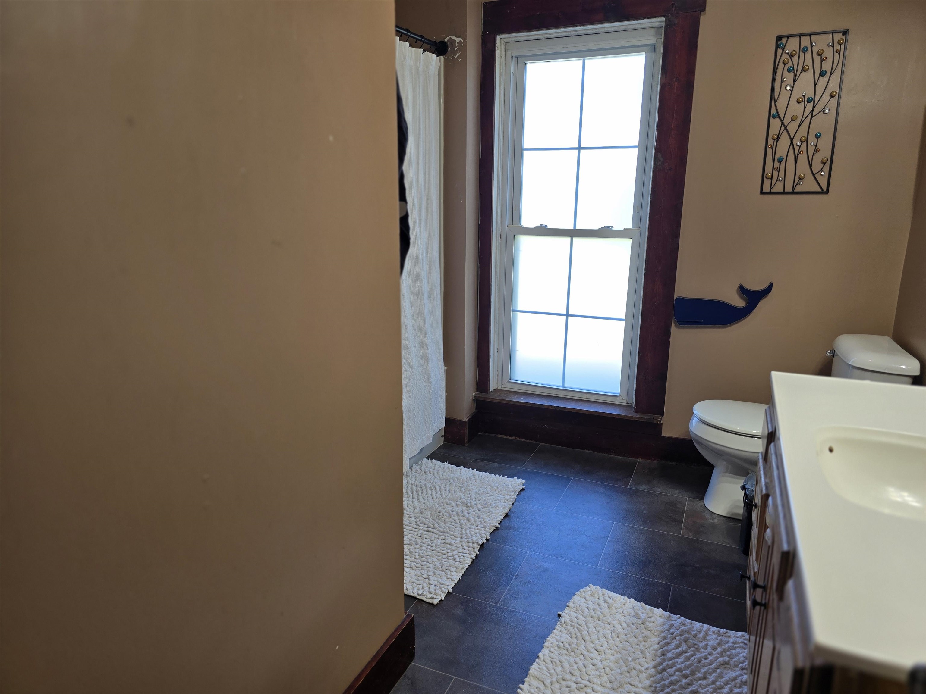 729 Locust Street Carthage, IL 62321 - Photo 17 of 32