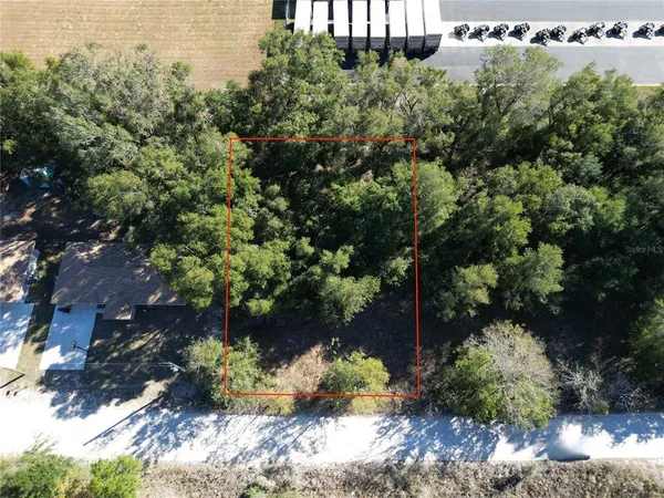 a plant that is in a garden