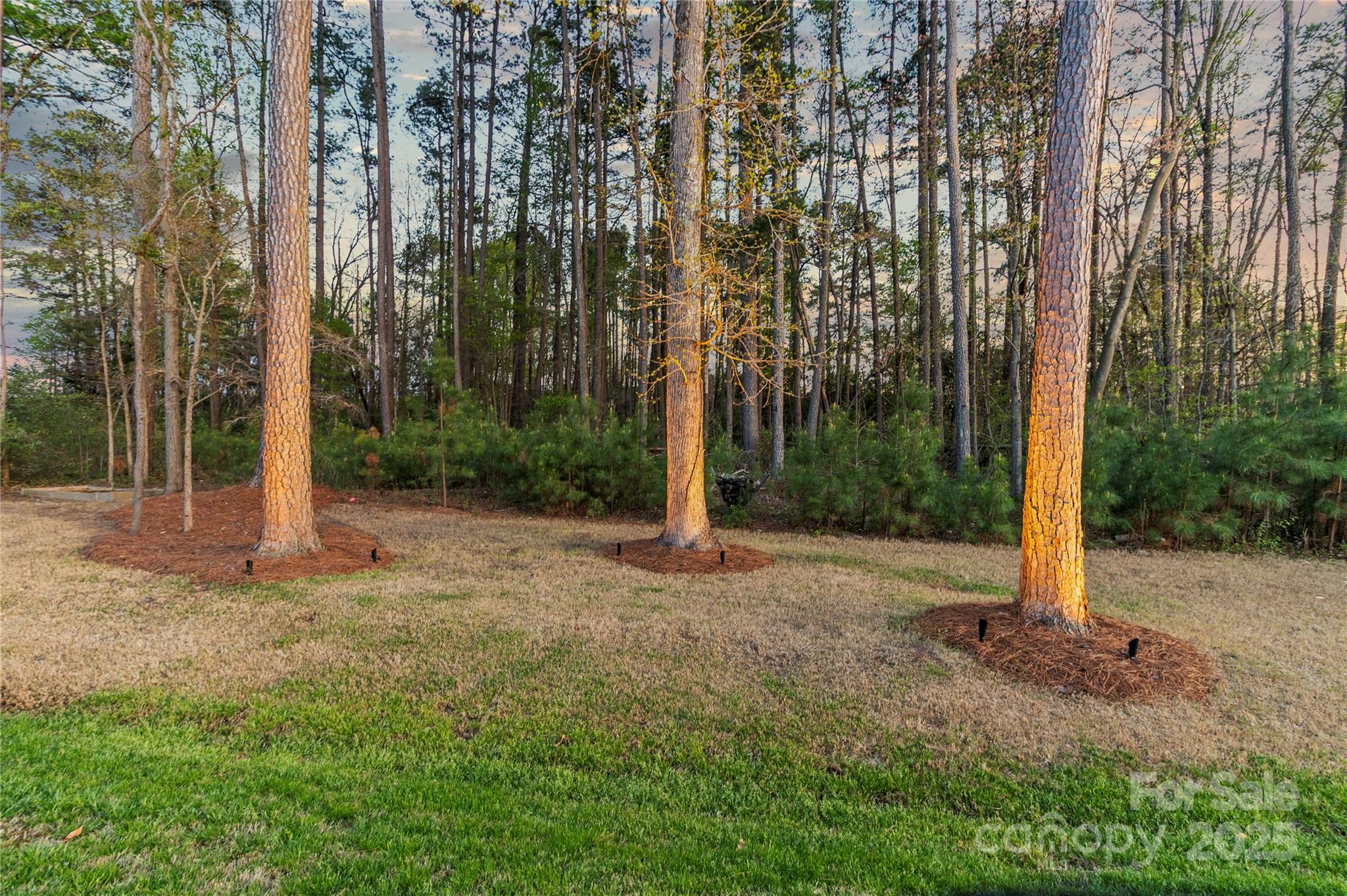 4427 Bright Road Charlotte, NC 28214 - Photo 5 of 48 Gallery Image 5