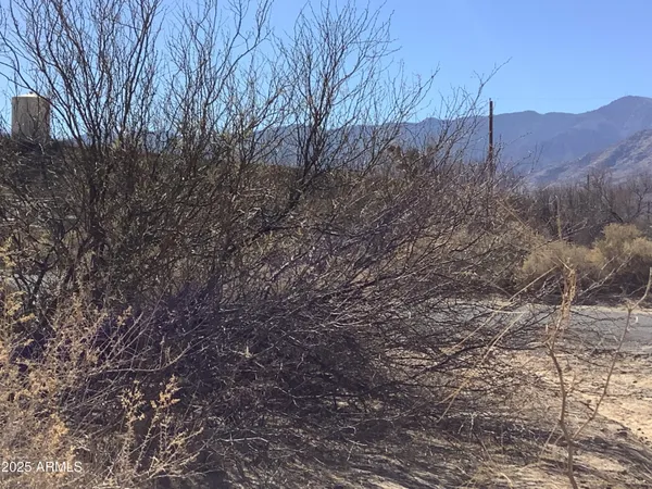 a view of ocean and city