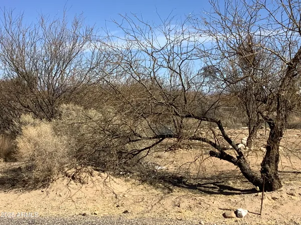 a view of side of snow with trees in the background
