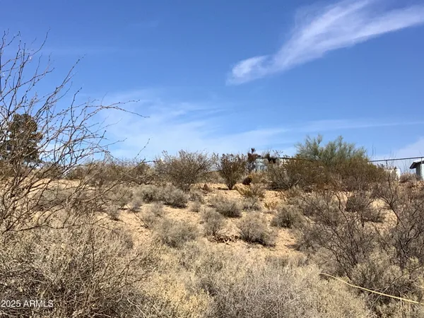 a view of a tree with a yard
