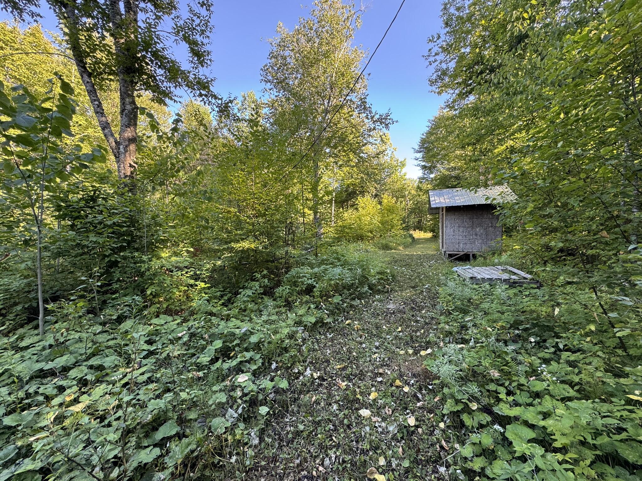 509 Woodland Ridge Road Danforth, ME 04424 - Photo 10 of 11 IMG_9368