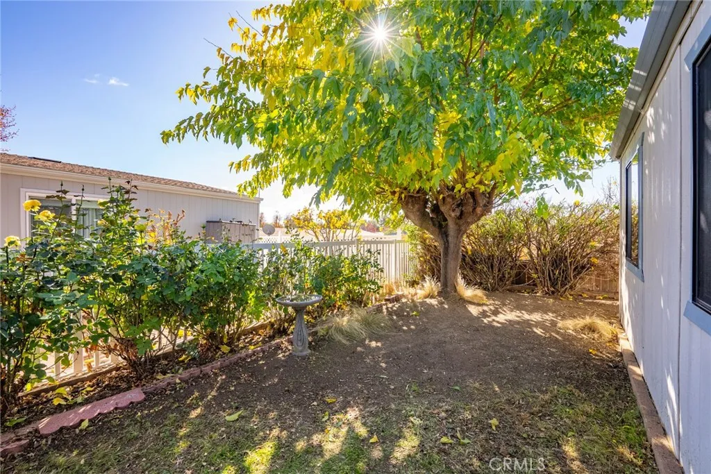 334 Bobwhite Paso Robles, CA 93446 - Photo 19 of 23 a view of a yard with plants and trees