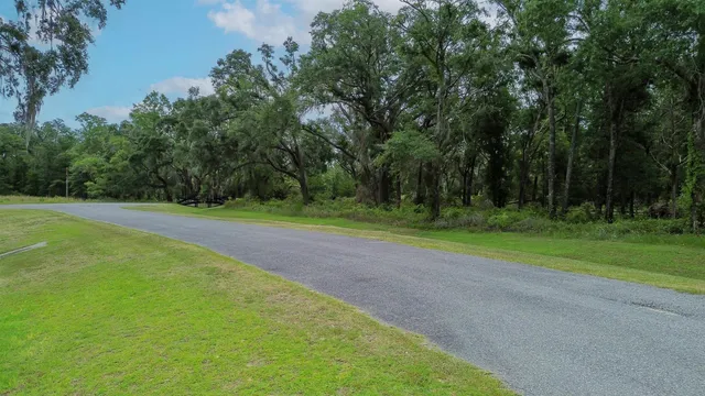 $69,000 | Lot 5 Northeast Briarwood Way, Pinetta, FL 32350