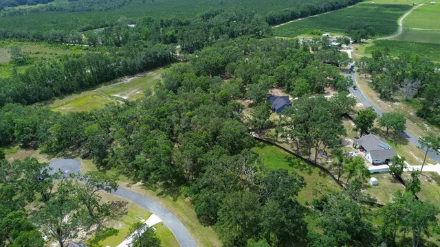 $69,000 | Lot 5 Northeast Briarwood Way, Pinetta, FL 32350