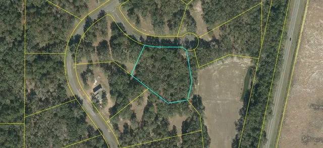 $69,000 | Lot 5 Northeast Briarwood Way, Pinetta, FL 32350